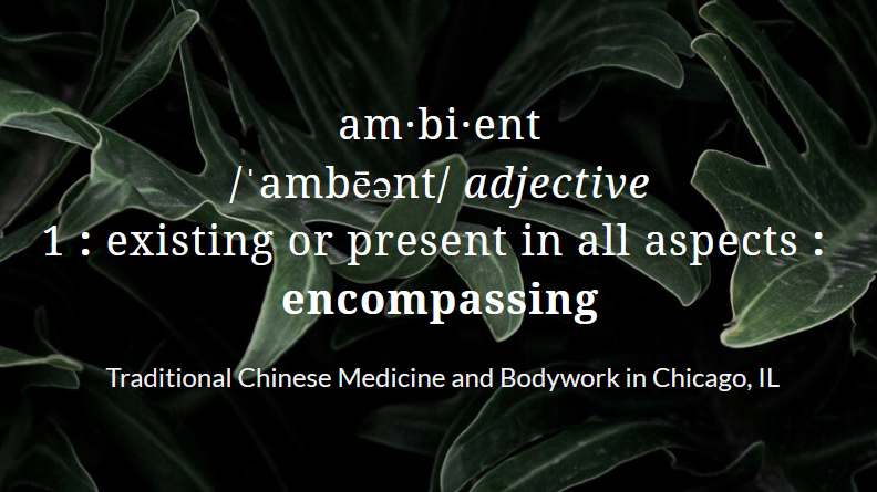 Ambient Healing — Acupuncture in W Montrose Ave Ste 301, Chicago