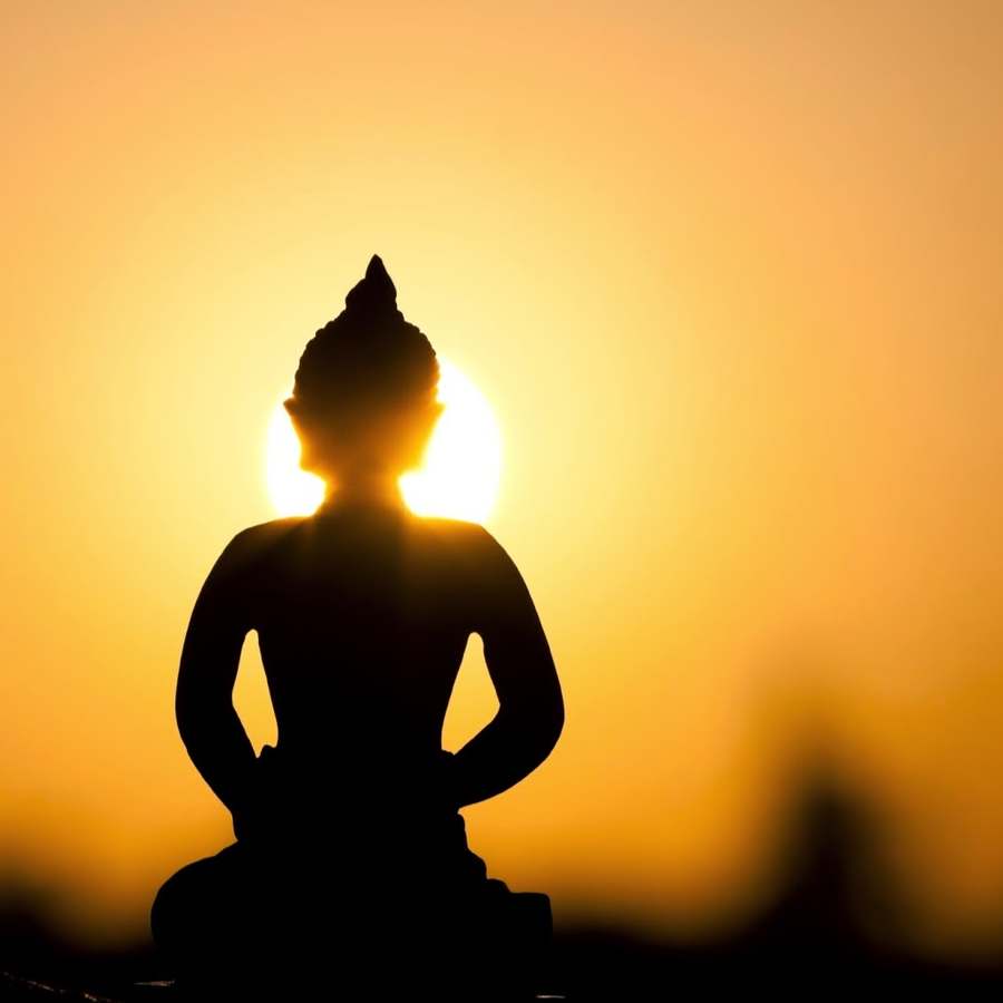 Inner Spring Wellness — Acupuncture in Lake St LL62, Chicago