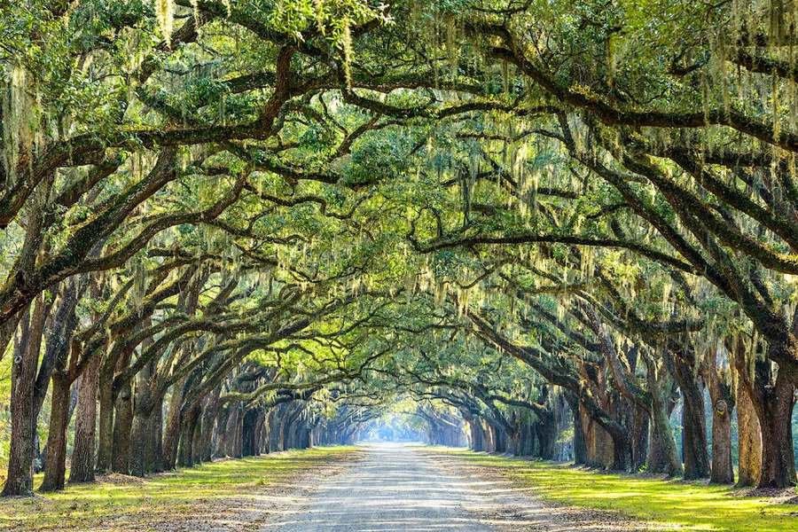 Past Life Regression Dallas — Hypnotherapy & NLP in E Arapaho Rd #304, Dallas