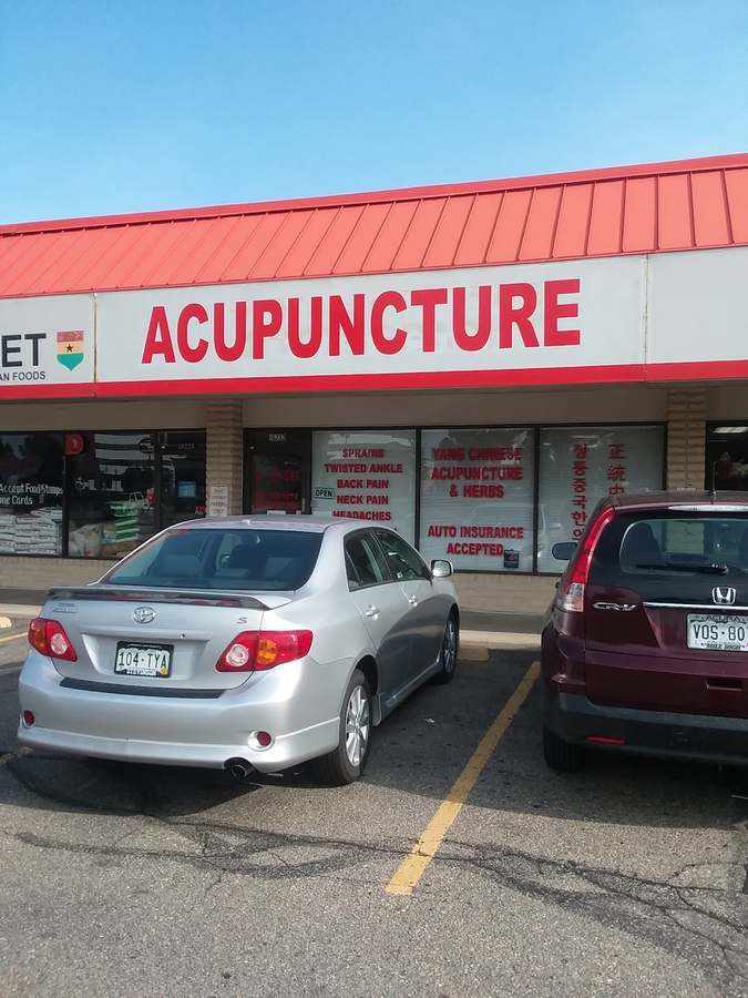 Yang Acupuncture and Herb — Acupuncture in E Iliff Ave, Denver
