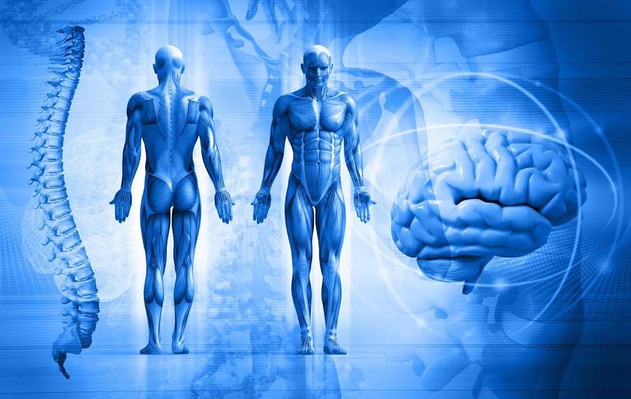 Dr. Edgar Romero — Chiropractic in SW 27th Ave, Miami