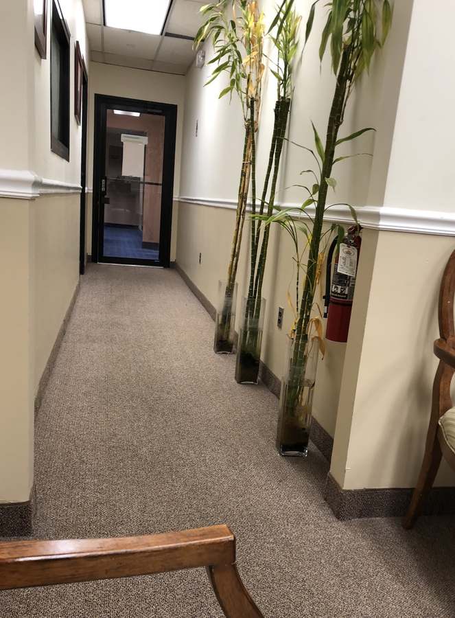Ann M Wry MD — Naturopathic Medicine in Essex St # K, New York