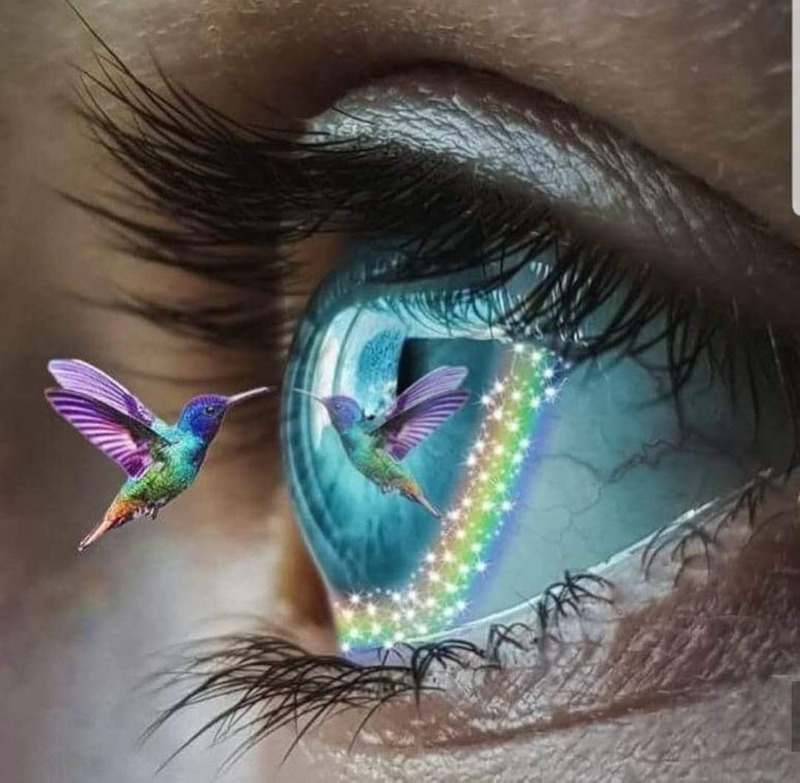 Empower Hypnosis — Counsellors & Mentors in -15 Jamaica Ave, New York