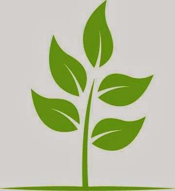 Natural Wellness Center — Naturopathic Medicine in -15 251st St SUITE 1, New York