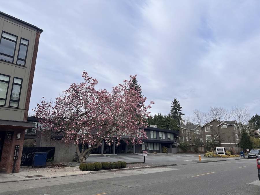 Clover Counseling — Psychotherapy in NE 55th St Ste E, Seattle