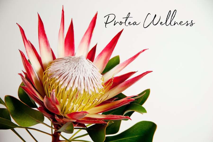 Protea Wellness — Psychotherapy in E Marginal Wy S Bldg E, Seattle