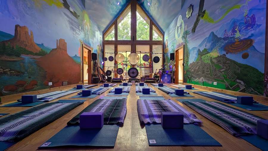 Sattvic Sage Ayurveda & Yoga Chicago — photo 1