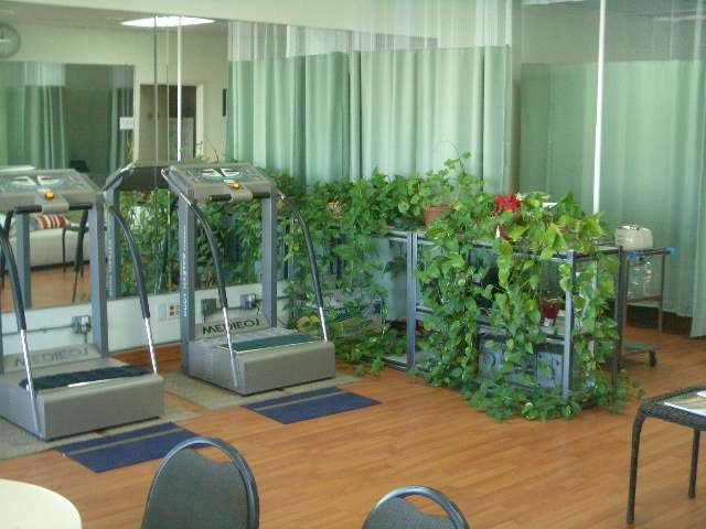 Bon Acupuncture & Moxa Clinic — photo 1