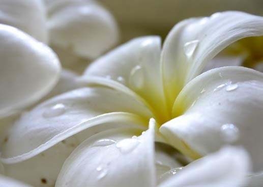 CHRISTINA BAUER Massage Therapist, Anxiety & Depression Support, Intuitive, Ayurvedic Counsel — photo 1