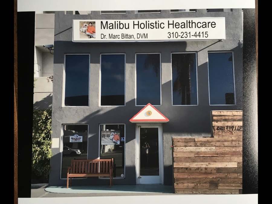 Holistic Veterinary Healthcare — photo 1