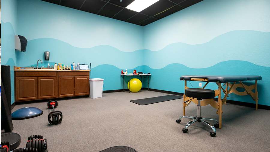 Paladino Physical Therapy, PLLC — photo 1
