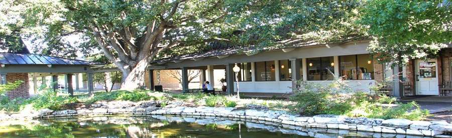 Austin Life Chiropractic — photo 1