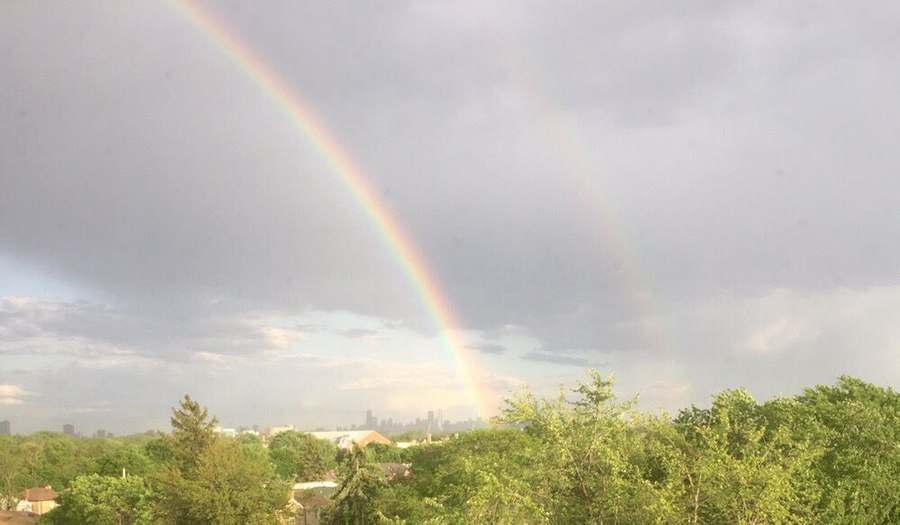 Chicago Psych Therapy Group, Inc. — photo 1