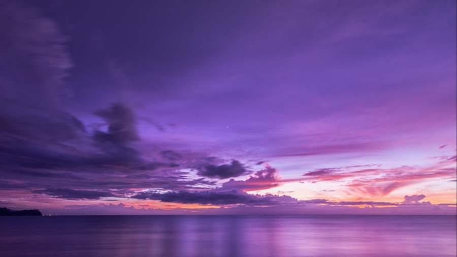 Purple Cloud Healing & Wellness — photo 1
