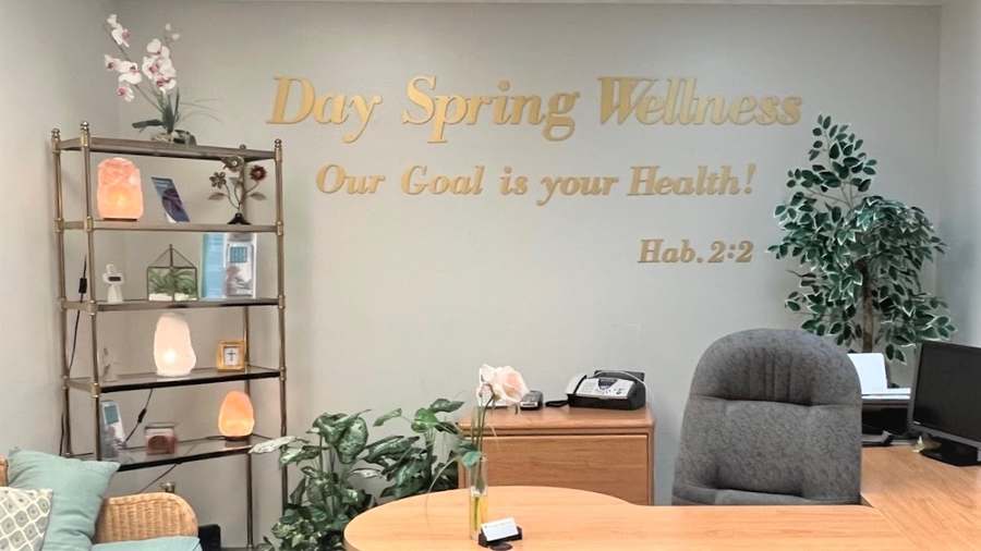 Day Spring Wellness Center & Medical Center — photo 1