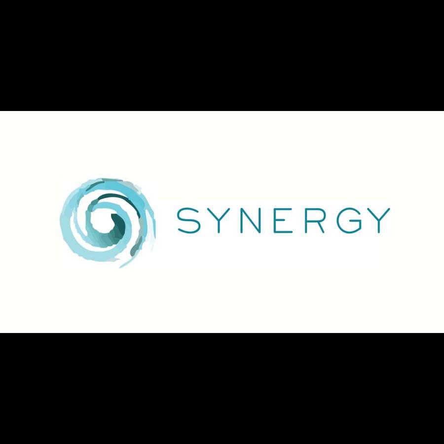 Synergy Physical Therapy and Pilates — photo 1