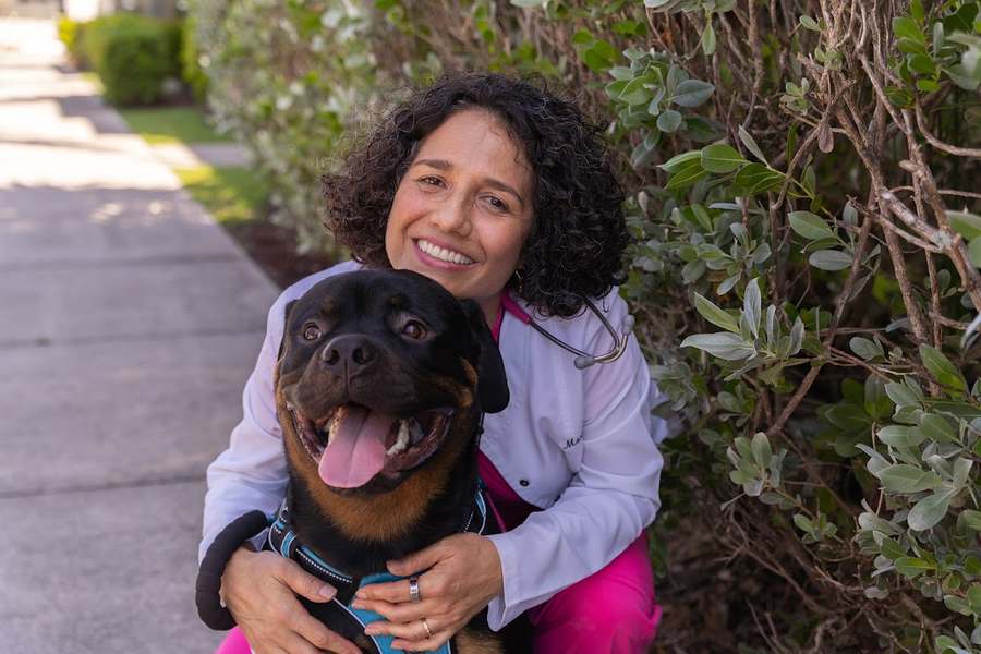 Martin Integrative Animal Clinic — photo 1