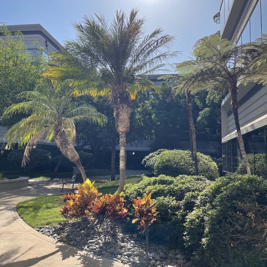 Spine & Sport Physical Therapy - Kearny Mesa — photo 1