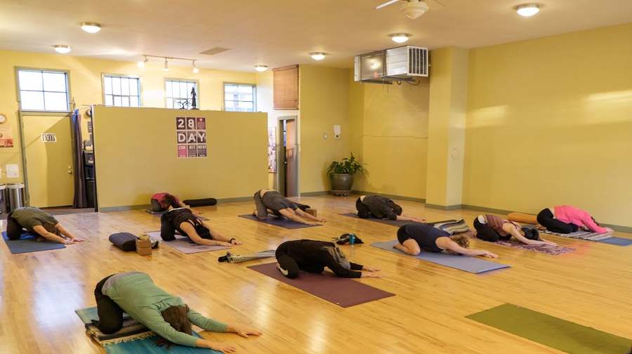 8 Limbs Yoga Centers - Wedgwood — photo 1