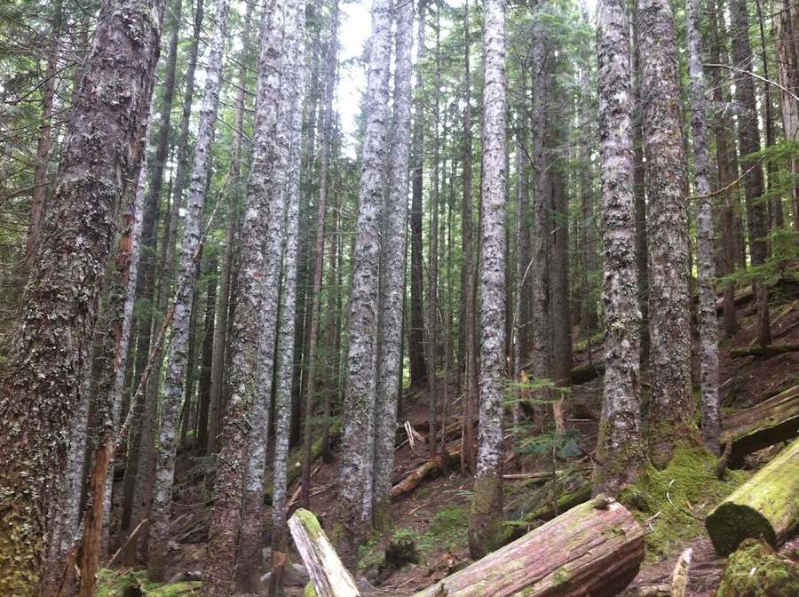 Brien R. Wood — photo 1